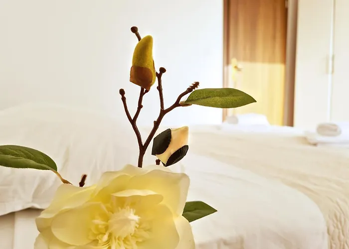 公寓 House Dora 普纳特