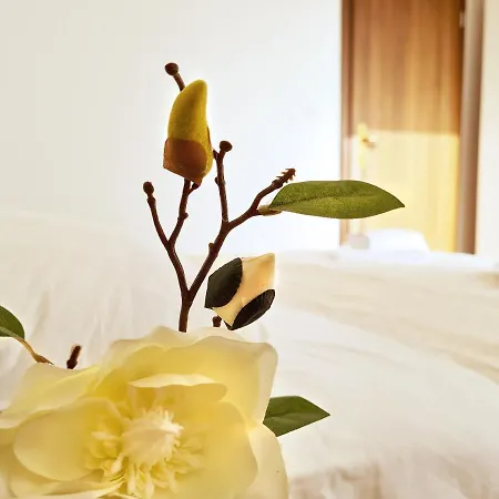 Appartamento House Dora Punat